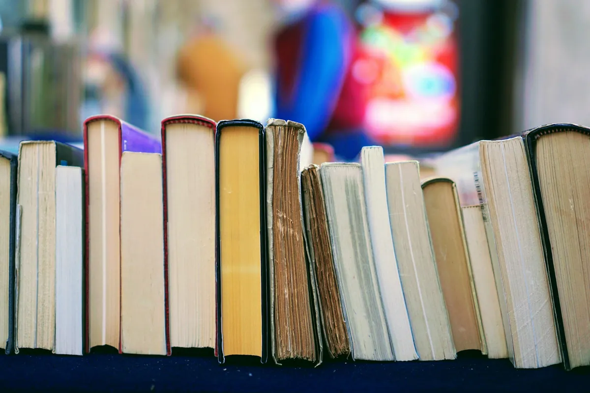Rangée de livres anciens reliés et de livres de poche debout sur un étal